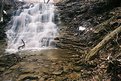 Picture Title - Hermitage Falls