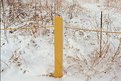 Picture Title - yellow pole