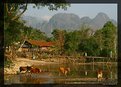 Picture Title - Vang Vieng