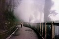 Picture Title - Walking in the mist-Darjeeling