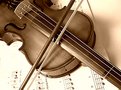 Picture Title - My Violin