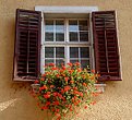 Picture Title - The Window