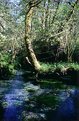 Picture Title - Olympic National Park