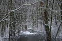 Picture Title - Winter Stream
