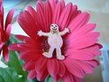 Picture Title - Blobby Flower