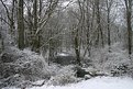 Picture Title - Winter Stream (wide) (by request)