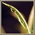 Dracaena reflexa variegata #3