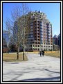 Picture Title - Recently  Completed Highrise Condominiums, Downtown Calgary, Alberta, Canada.