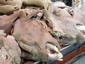 Picture Title - Delicious
