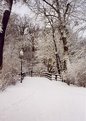 Picture Title - Polish winter