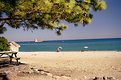 Picture Title - relax