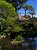 Inside of Strybing Arboretum