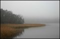 Picture Title - Foggy Lake