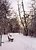 winter's morning