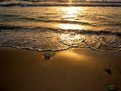 Picture Title - Golden Beach....2