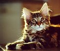 Picture Title - Iza