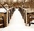 Foot Bridge in Snow