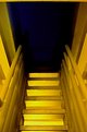 Picture Title - Golden Stairs, Night sky