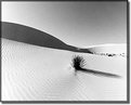 Picture Title - White Sands 3