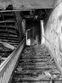Picture Title - Going Up Or Coming Down?