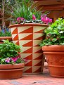 Picture Title - Trio of Potted Plants