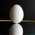 Picture Title - Zen and the Art of Egg Balancing