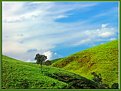 Picture Title - Green Hills