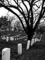 Picture Title - Arlington National Cemetary