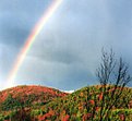 Picture Title - Saratoga Rainbow