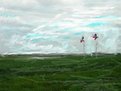 Picture Title - Texas Flags