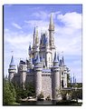 Picture Title - Cinderella's Castle