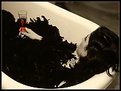 Picture Title - Bath of Feathers 3