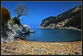 Picture Title - Tree on Rocky