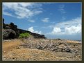 Picture Title - Bonaire - want to live