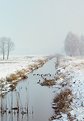 Picture Title - winter landscape