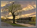 Picture Title - Evening Walk