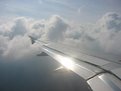 Picture Title - sunlight off the wing