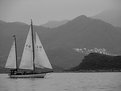 Picture Title - Sailing