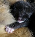Picture Title - I love you mummy........