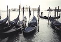 Picture Title - Venice Gondolier