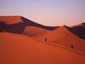 Picture Title - Namib desert : Red Sunrise