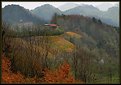 Picture Title - Hut in green