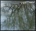 Picture Title - 'reflections in a stream'