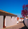 Picture Title - Alentejo