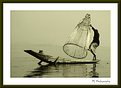 Picture Title - Lake Inle Fisherman