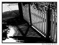 Picture Title - Gate & Shadow