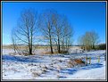Picture Title - Alberta Prairie Winter Scene.