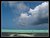 windsurfing in Bonaire