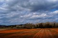 Picture Title - Red Field.....