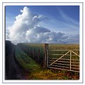 Picture Title - Farm lane near Dittisham